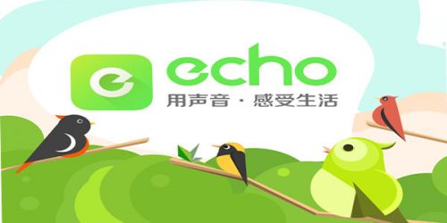 沈阳旅游为什么突然火了？